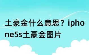 土豪金什么意思?iphone5s土豪金图片
