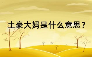 土豪大妈是什么意思？
