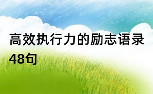 高效执行力的励志语录48句