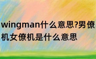 wingman什么意思?男僚机女僚机是什么意思