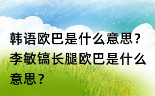 韩语欧巴是什么意思？李敏镐长腿欧巴是什么意思？