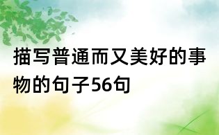 描写普通而又美好的事物的句子56句
