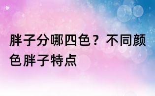 胖子分哪四色?不同颜色胖子特点