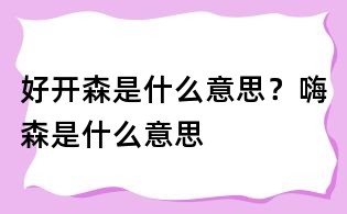 好开森是什么意思?嗨森是什么意思
