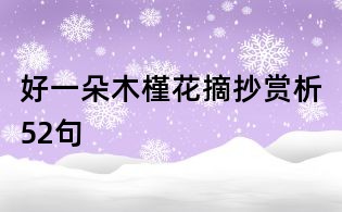 好一朵木槿花摘抄赏析52句