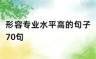 形容专业水平高的句子70句