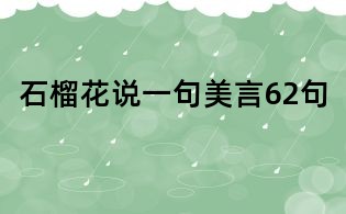石榴花说一句美言62句
