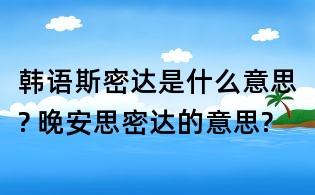 韩语斯密达是什么意思? 晚安思密达的意思?