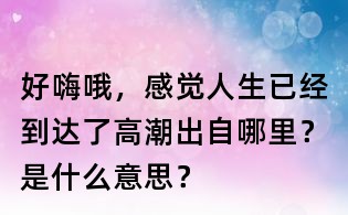 好嗨哦,感觉人生已经到达了高潮出自哪里?是什么意思?