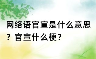 网络语官宣是什么意思?官宣什么梗?