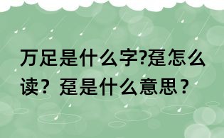 万足是什么字?趸怎么读?趸是什么意思?