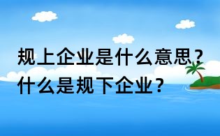 规上企业是什么意思?什么是规下企业?