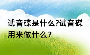 试音碟是什么?试音碟用来做什么?