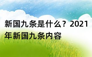 新国九条是什么?2021年新国九条内容