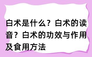 白术是什么?白术的读音?白术的功效与作用及食用方法