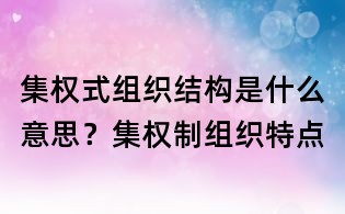 集权式组织结构是什么意思?集权制组织特点