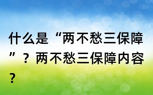 什么是“两不愁三保障”?两不愁三保障内容?