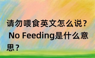 请勿喂食英文怎么说？ No Feeding是什么意思？