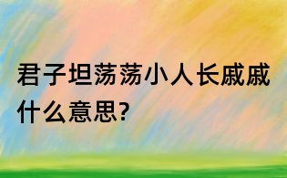 君子坦荡荡小人长戚戚什么意思?