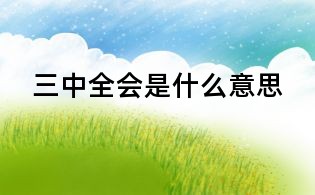 三中全会是什么意思