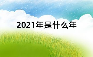 2021年是什么年