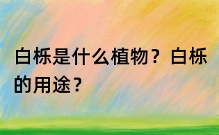 白栎是什么植物？白栎的用途？