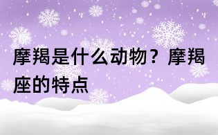 摩羯是什么动物?摩羯座的特点