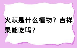 火棘是什么植物?吉祥果能吃吗?