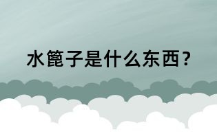 水篦子是什么东西？