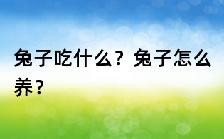 兔子吃什么?兔子怎么养?