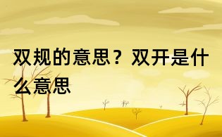 双规的意思？双开是什么意思
