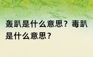轰趴是什么意思？毒趴是什么意思？