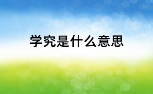 学究是什么意思