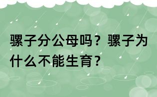 骡子分公母吗？骡子为什么不能生育？