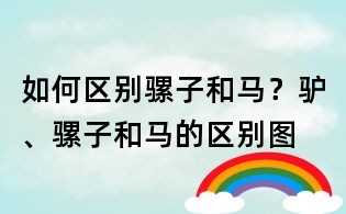 如何区别骡子和马？驴、骡子和马的区别图