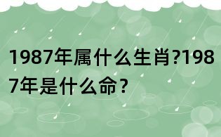 1987年属什么生肖?1987年是什么命?