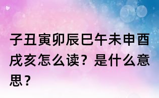 子丑寅卯辰巳午未申酉戌亥怎么读?是什么意思?