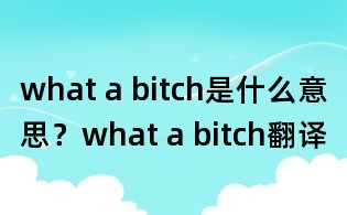 what a bitch是什么意思？what a bitch翻译