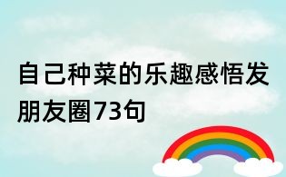 自己种菜的乐趣感悟发朋友圈73句