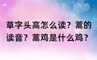 草字头高怎么读？蒿的读音？蒿鸡是什么鸡？
