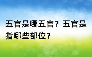 五官是哪五官？五官是指哪些部位？