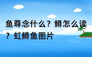 鱼尊念什么?鳟怎么读?虹鳟鱼图片
