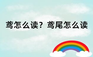 鸢怎么读?鸢尾怎么读