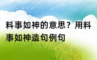 料事如神的意思?用料事如神造句例句
