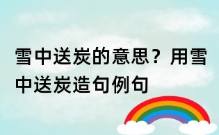 雪中送炭的意思?用雪中送炭造句例句
