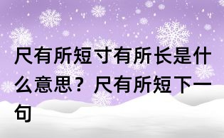 尺有所短寸有所长是什么意思?尺有所短下一句