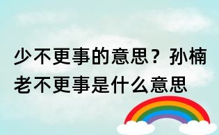 少不更事的意思?孙楠老不更事是什么意思