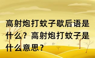 高射炮打蚊子歇后语是什么?高射炮打蚊子是什么意思?