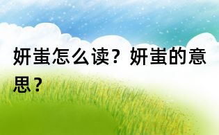 妍蚩怎么读?妍蚩的意思?