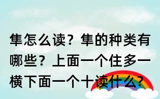 隼怎么读?隼的种类有哪些?上面一个住多一横,下面一个十读什么?